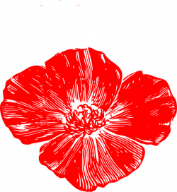 Red Poppy Clip Art at Clker.com - vector clip art online, royalty ...