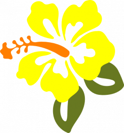 Buttercup Flower Clipart at GetDrawings.com | Free for personal use ...
