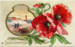 Free Vintage Image ~ Love's Greetings Poppies Postcard - Old ...
