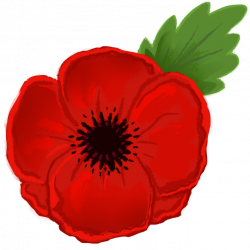 28+ Collection of Remembrance Poppy Drawing | High quality, free ...