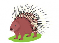 Free Porcupine Clipart - Clip Art Pictures - Graphics - Illustrations