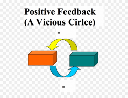 Difference Between Positive Feedback And Negative Feedback ...