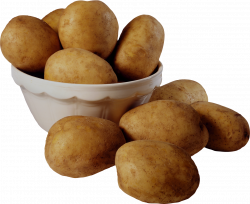 Potato PNG Image | Web Icons PNG