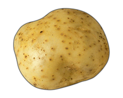 Potato PNG Images Transparent Free Download | PNGMart.com