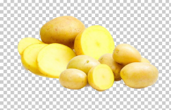 Yukon Gold Potato Sweet Potato Food Computer File PNG ...