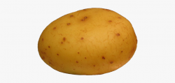 Potato Clipart Free - Potato Png #43174 - Free Cliparts on ...
