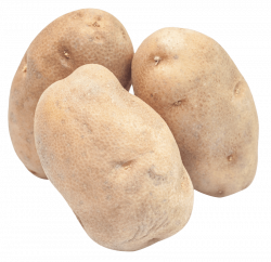 potato png - Free PNG Images | TOPpng