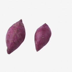 Two Fresh And Delicious Purple Potatoes, Two, Fresh, Purple ...