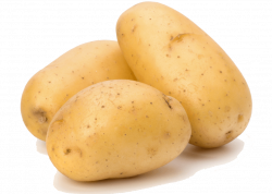 Download Potato Png Images Pictures Download HQ PNG Image | FreePNGImg