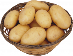 Potato PNG Transparent Images | PNG All