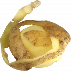 Peeled Potato transparent PNG - StickPNG