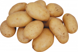 potato png - Free PNG Images | TOPpng