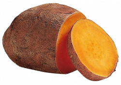 Sweet Potato Slice PNG Image | PNG Transparent best stock photos
