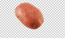 Sweet Potato Vegetable PNG, Clipart, Encapsulated Postscript ...