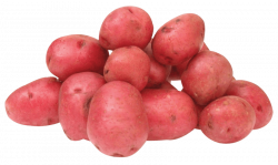 red potatoes png - Free PNG Images | TOPpng