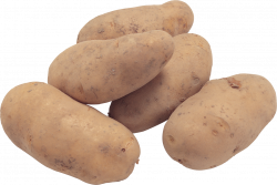 Potato Icon PNG | Web Icons PNG