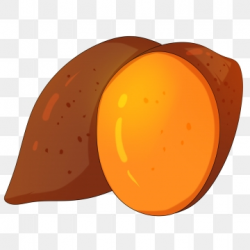 Sweet Potato Png, Vector, PSD, and Clipart With Transparent ...