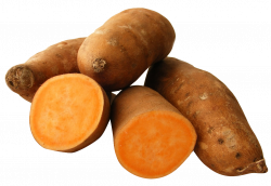 Yam PNG Image - PurePNG | Free transparent CC0 PNG Image Library