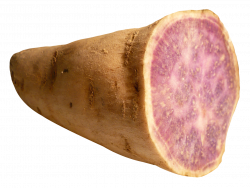 Sweet Potato Yam PNG image - PngPix