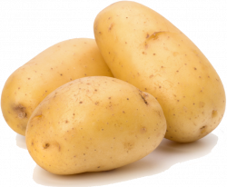 Potato Cartoon Clipart Vegetable Clip Art - Potatoes Png ...