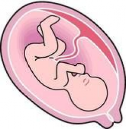 Pregnant women Clipart fetus | mother and child pictures ...