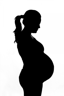 Pregnant belly clipart 6 » Clipart Station