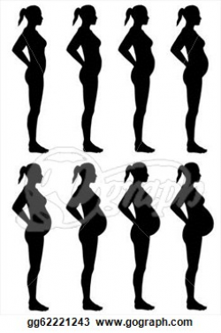 Stages of Pregnancy | Clipart Panda - Free Clipart Images