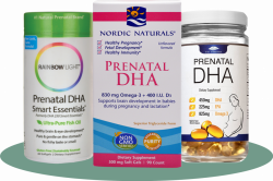 3 Best Prenatal DHA Supplements - The Fertile Times