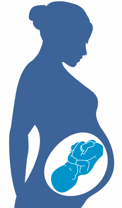 Pregnancy and HIV | womenshealth.gov