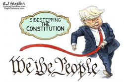 President Trump's national emergency: Political Cartoons ...