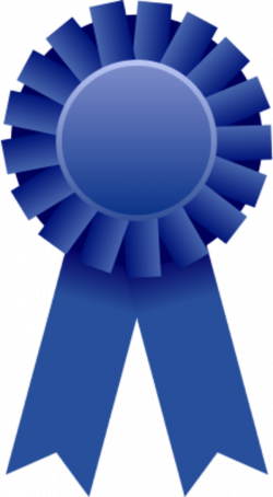 Ribbon Award Prize Clip art - Blue Ribbon Clipart 600*1091 ...
