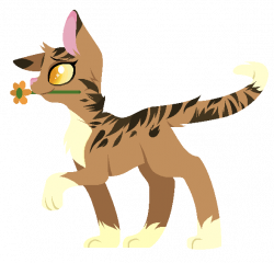 Leafpool; The Medicine Cat of ThunderClan