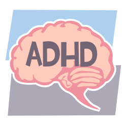 Your Brain on ADHD | Holiner Group