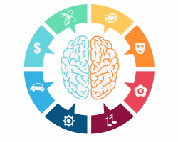 Lateralization of brain function Computer Icons Clip art - dynamic ...