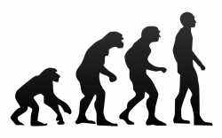 What is “an evolutionary explanation of behaviour?” – IB Psychology