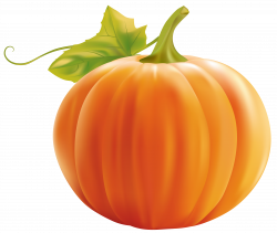 Pumpkin PNG Clipart Image | Gallery Yopriceville - High-Quality ...