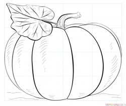 How to draw a pumpkin step by step. Drawing tutorials for ...