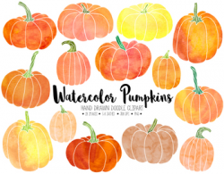 Watercolor Pumpkin Clipart. Hand Drawn Thanksgiving, Fall, Autumn Clip art.