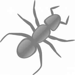 Gray Ant Clip Art at Clker.com - vector clip art online, royalty ...
