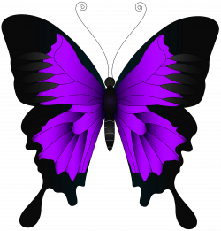 Purple Butterfly PNG Clip Art Image | Gallery Yopriceville - High ...
