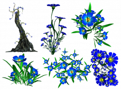 Forget Me Not PNG Stock by Roy3D on DeviantArt