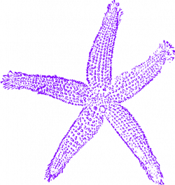 Maehr Purple Starfish Wedding Clip Art at Clker.com - vector clip ...