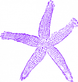 Maehr Purple Starfish Wedding Clip Art at Clker.com - vector ...