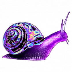 snail holo holographic purple holo iridescent holograph...