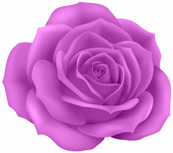 Rose Purple Clip Art PNG Image | ssss | Pinterest | Clip art and Free