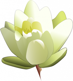 White Water Lily Clip Art at Clker.com - vector clip art online ...