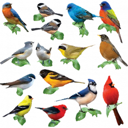 Songbirds: 15 Mini Shaped Puzzles | Jigsaws | Puzzle Master Inc