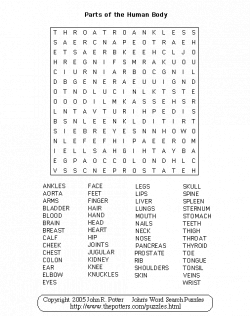 bodyparts.gif 506×640 pixels | Pilgrim Word Search and Word Games ...