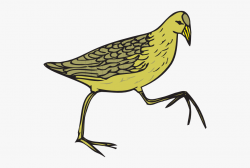 Quail Clipart Animated - Cartoon Feathers On Bird, Cliparts ...