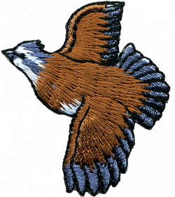 Eagle Gifts Galore/Wild Beast Animal Patches/Wild Animal Patches ...
